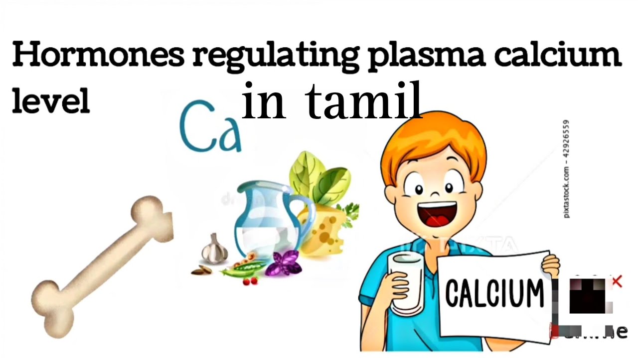 Hormones regulating plasma calcium level in Tamil, pharmacology-5th sem b.pharm