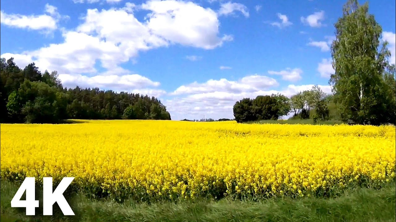 4k Drive Through Swedish Countryside, Hallstahammar To Västerås, Sweden