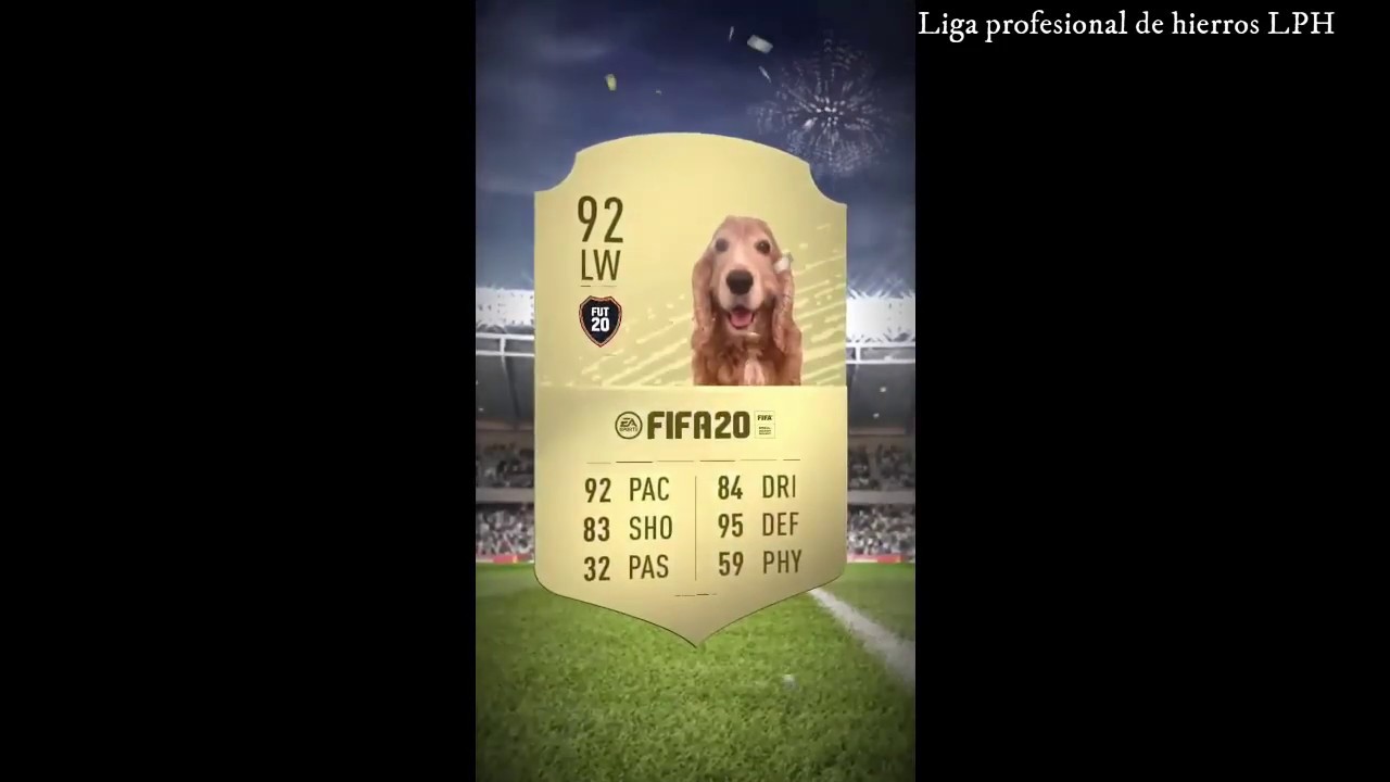 Recopilación de videos del perro de IBAI