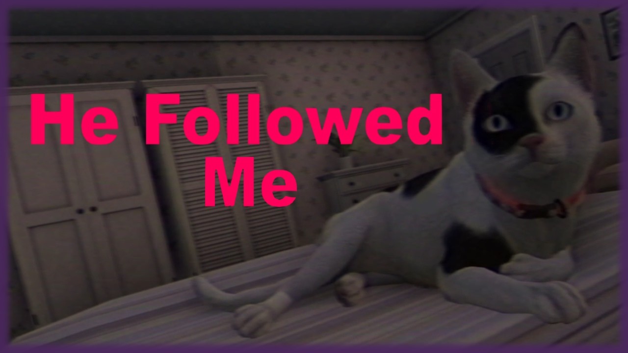 WHY ARE THERE SO MANY FEARS TO FATHOM RIPOFFS?? | He Followed Me