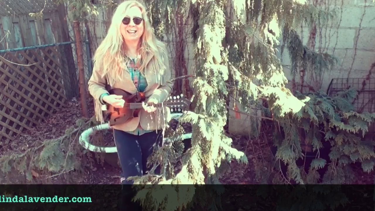 Featured Market Musician: Linda Lavender!