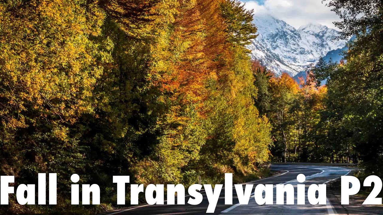 POV Driving in Autumn Transylvania 4K – Part II