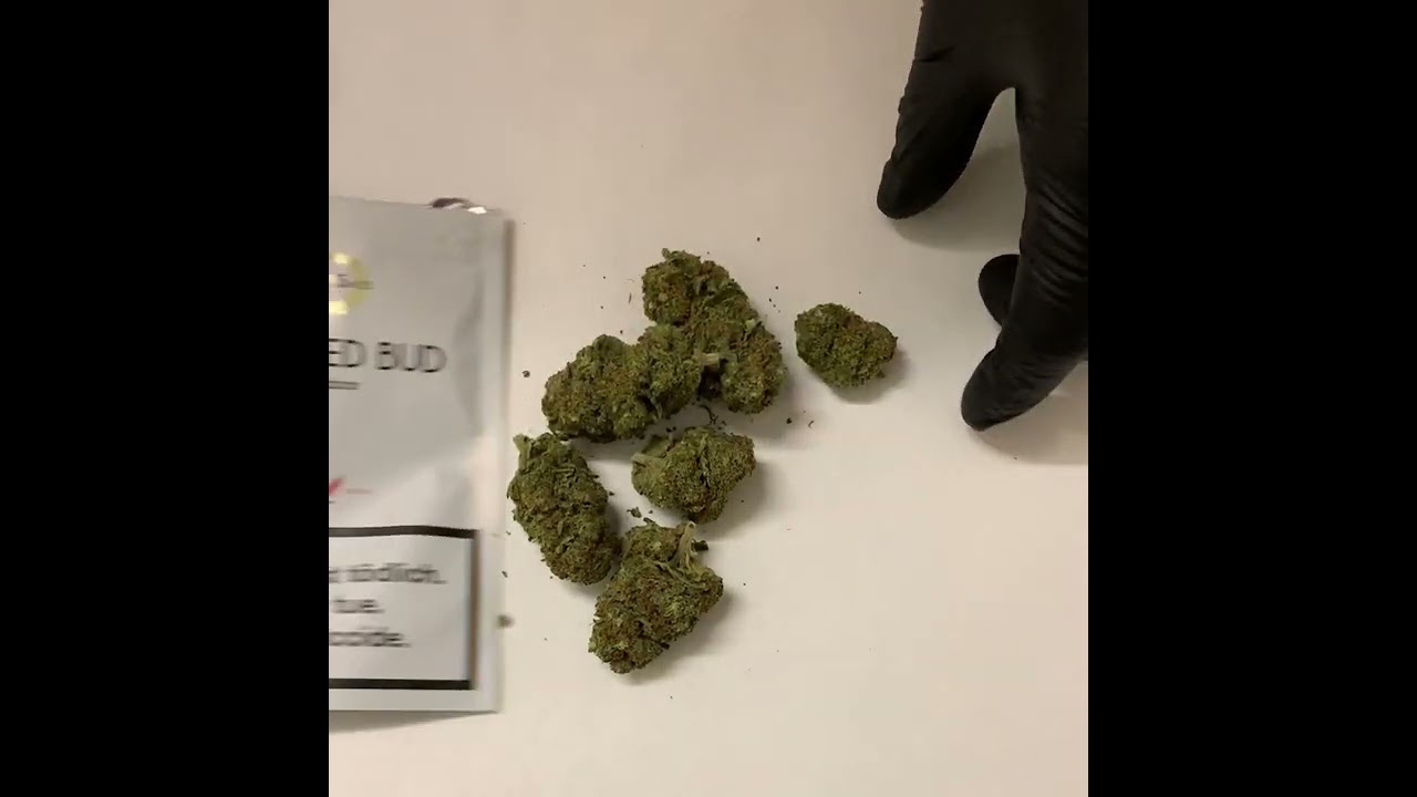 CBD Swiss Red Bud