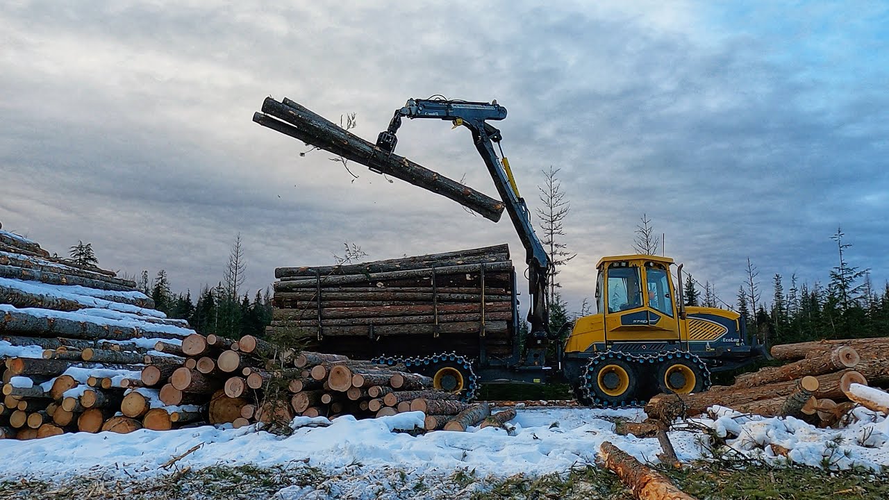 BEST OF CUT TO LENGTH LOGGING