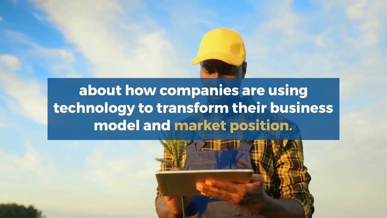 What is the innovation economy?