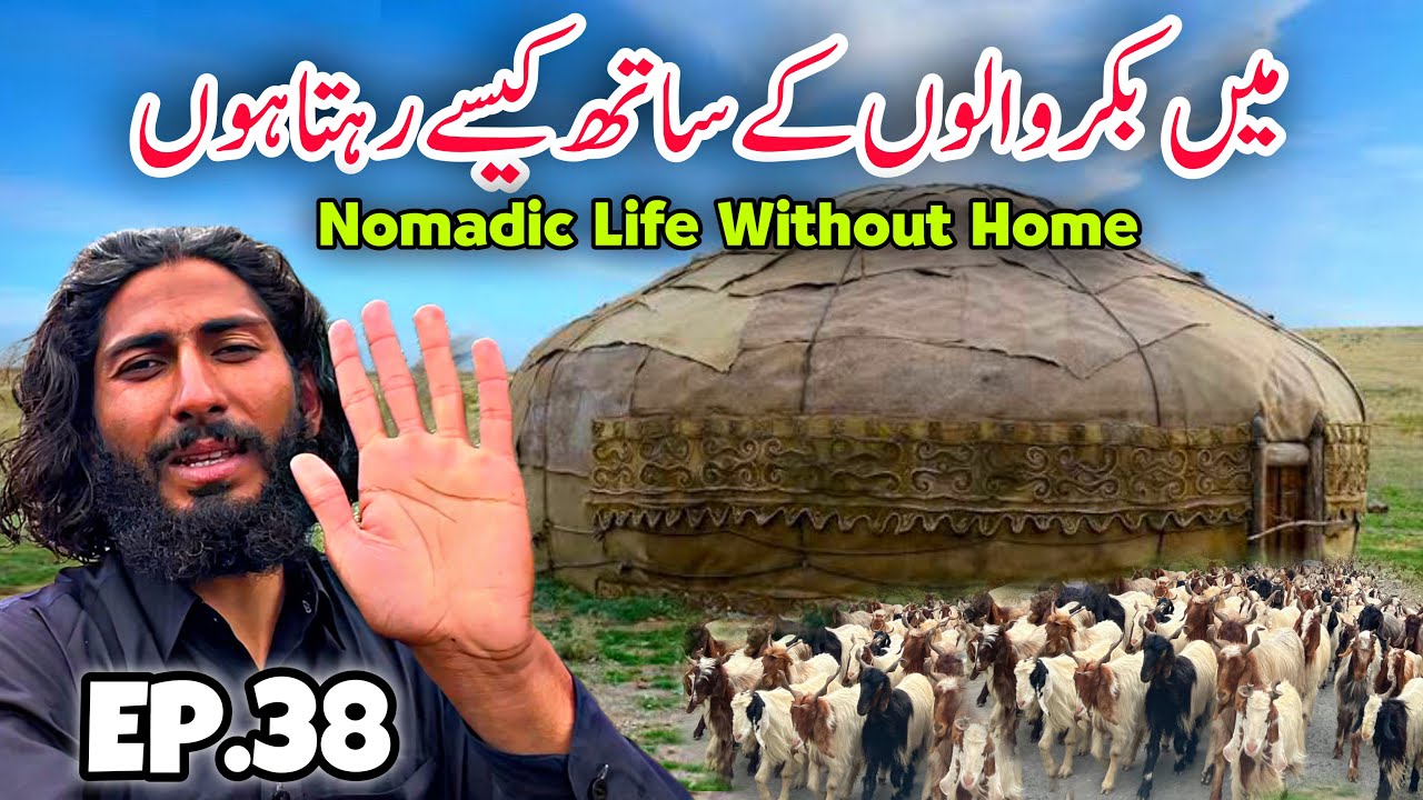 Nomadic Life With Bakarwal | Lifestyle | Travelling With Bakarwal in Kashmir Episode 38
