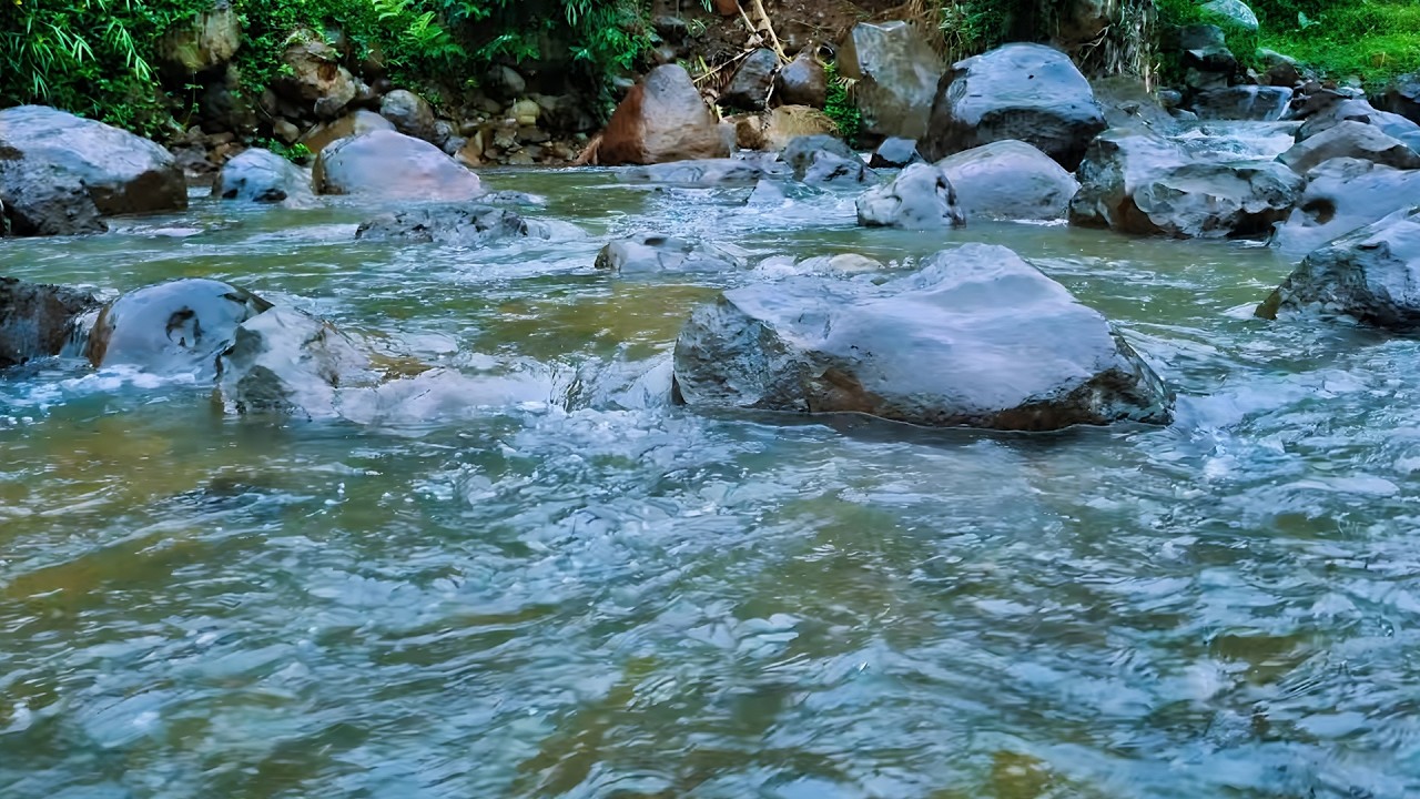 Beautiful Flowing River Sounds and Bird Chirping for Sleep, Study Focus, Meditation & Stress Relief