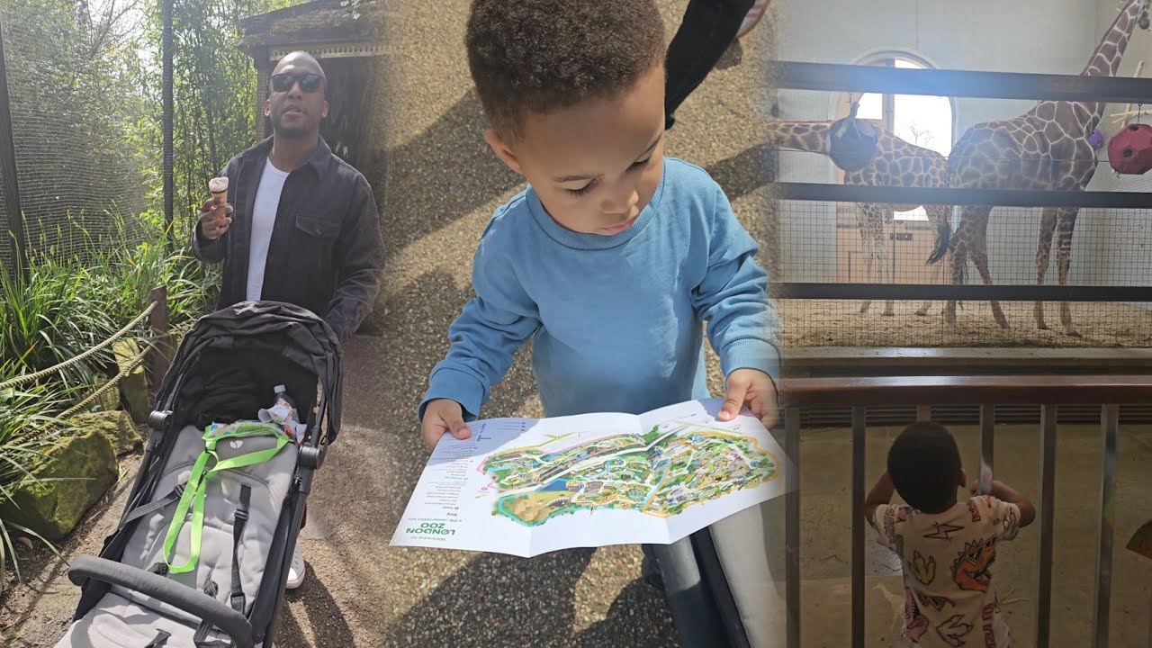 Wild Adventure: Exploring The Zoo!