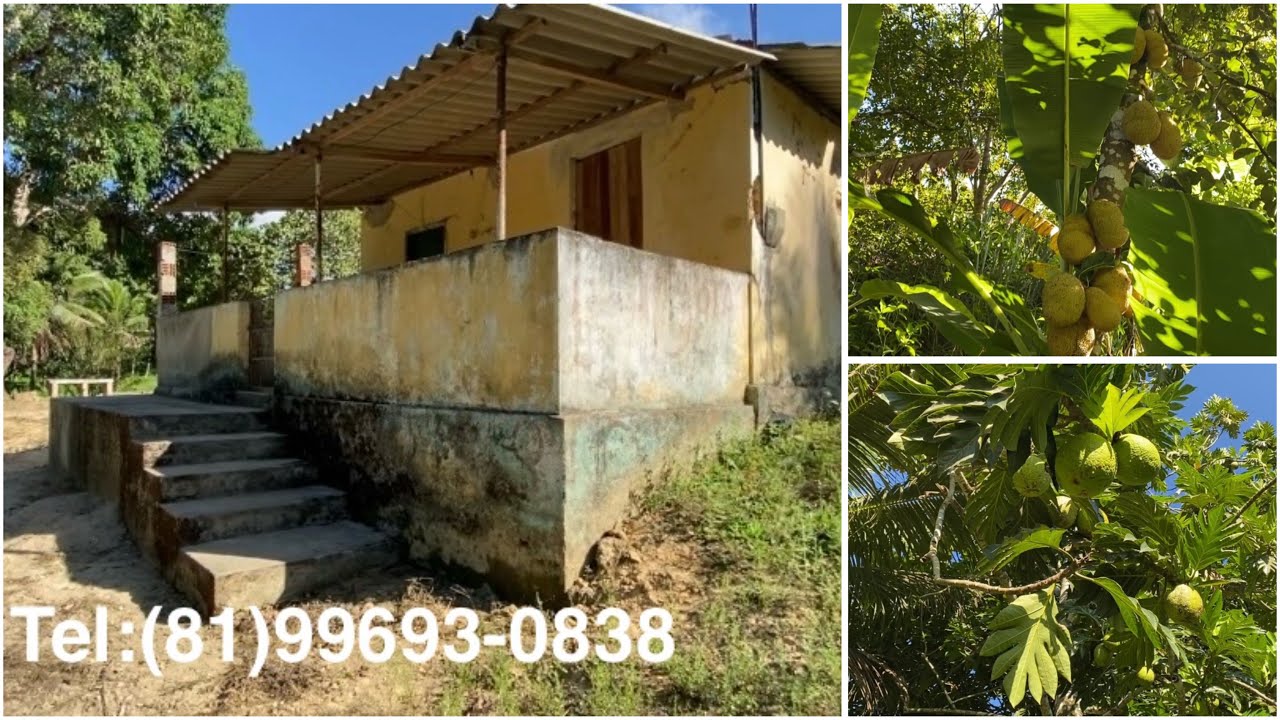 Sítio á venda na zona rural de Catende PE 10 hectares 1 km da cidade R$250 mil.