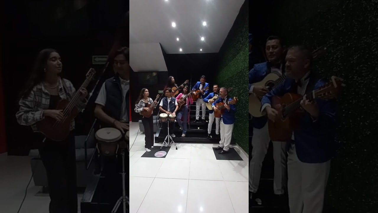 Locura Mía Los Miranda y Los Tres Romanticos 🎸