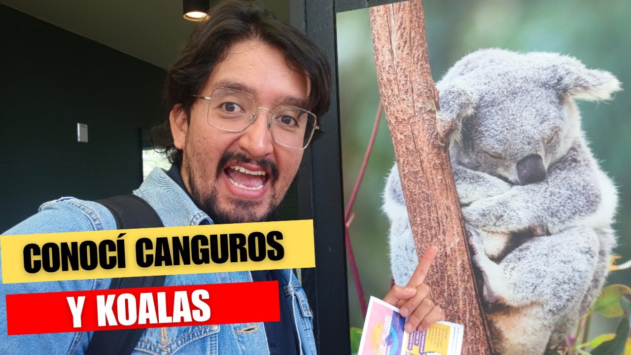 Conocí CANGUROS, KOALAS y al DEMONIO DE TASMANIA en Australia