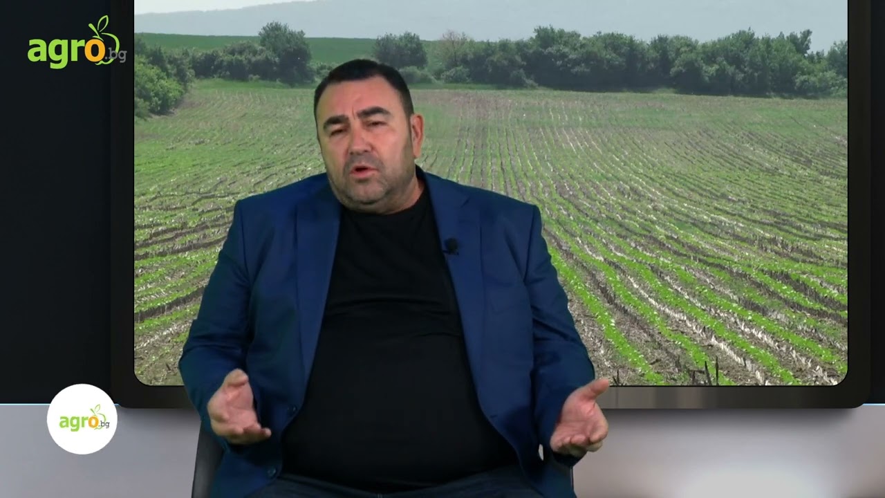 Павел Стоименов: От 2007 г. преосмислих стила си на работа