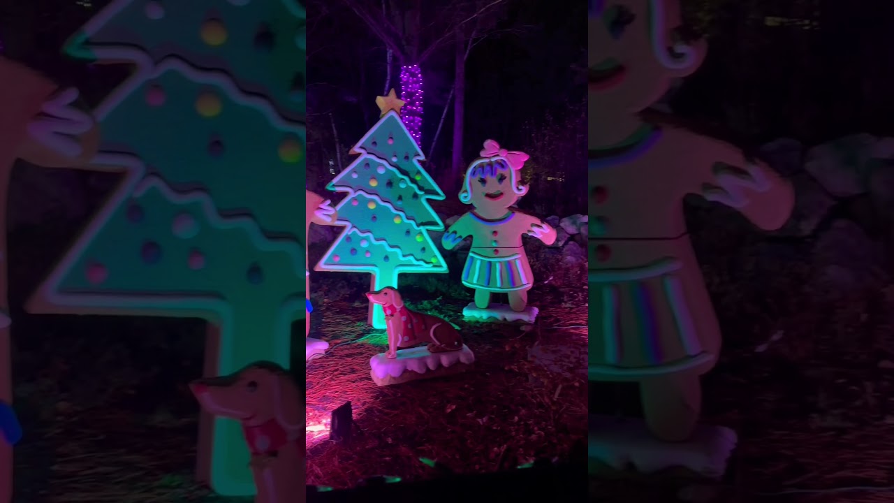Christmas lightings 