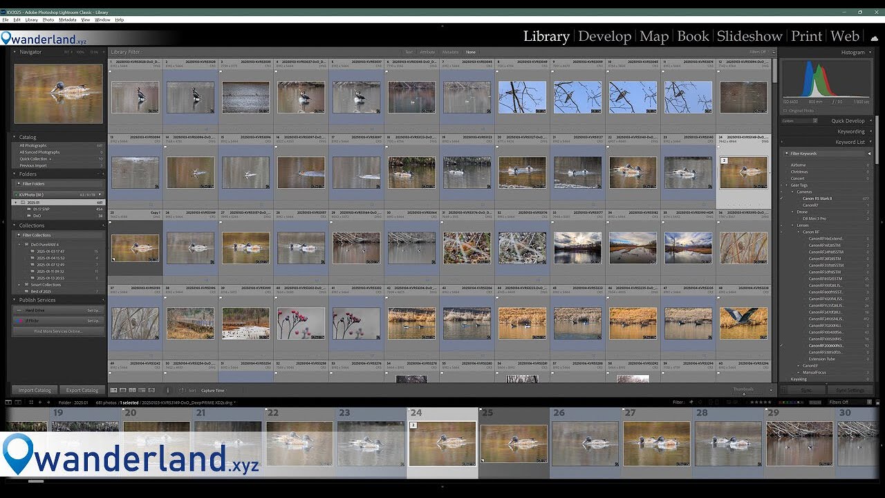 Adobe Lightroom Classic Workflow Basics and Tips!
