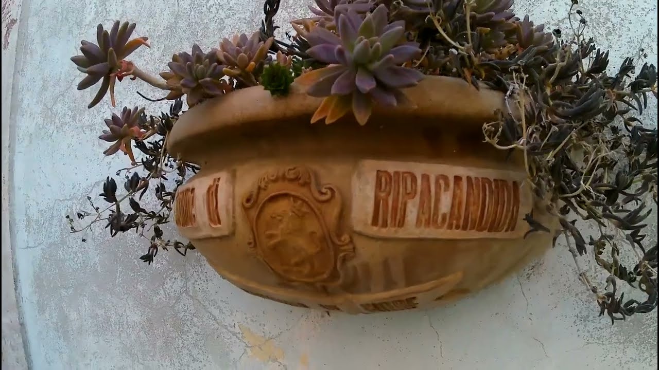Lucania in Silenzio - Vento a Ripacandida