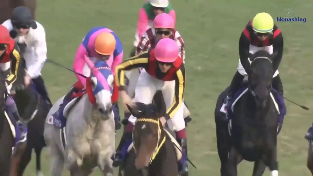 2010 Japan Cup G1 - Rose Kingdom (玫瑰帝國) - Y.Take (過終點頭馬迷人景致因阻及玫瑰帝國賽後抗議成立貶為第二)