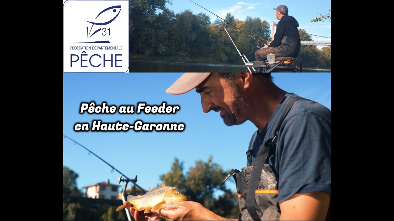 Pêche au feeder en Haute-Garonne sur le Tarn