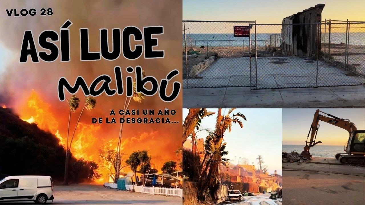 Entre cenizas y esperanza: nuestra vuelta a Malibú 💔🌊