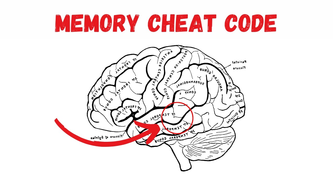How To Remember Anything (Crush the Forgetting Curve)