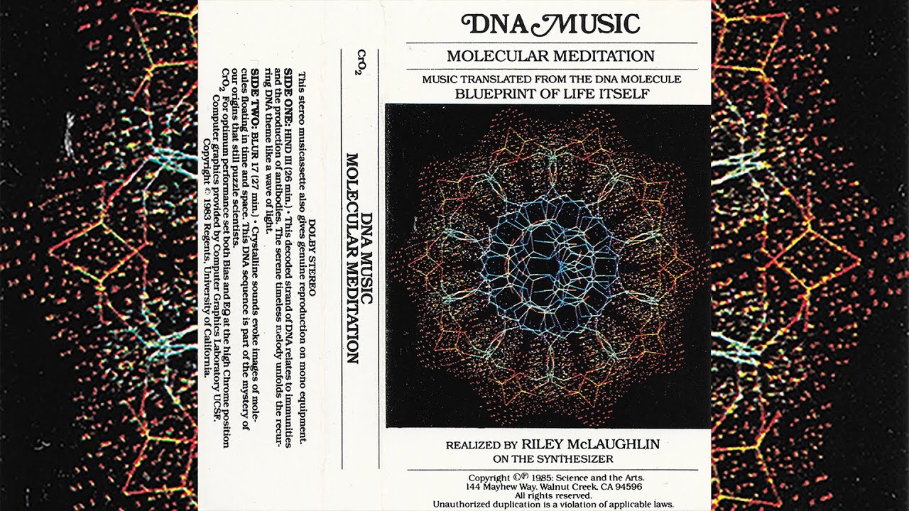 Riley McLaughlin - DNA Music [1983]