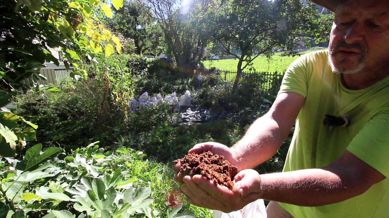 Flake Soil - How to make your own beetle substrate