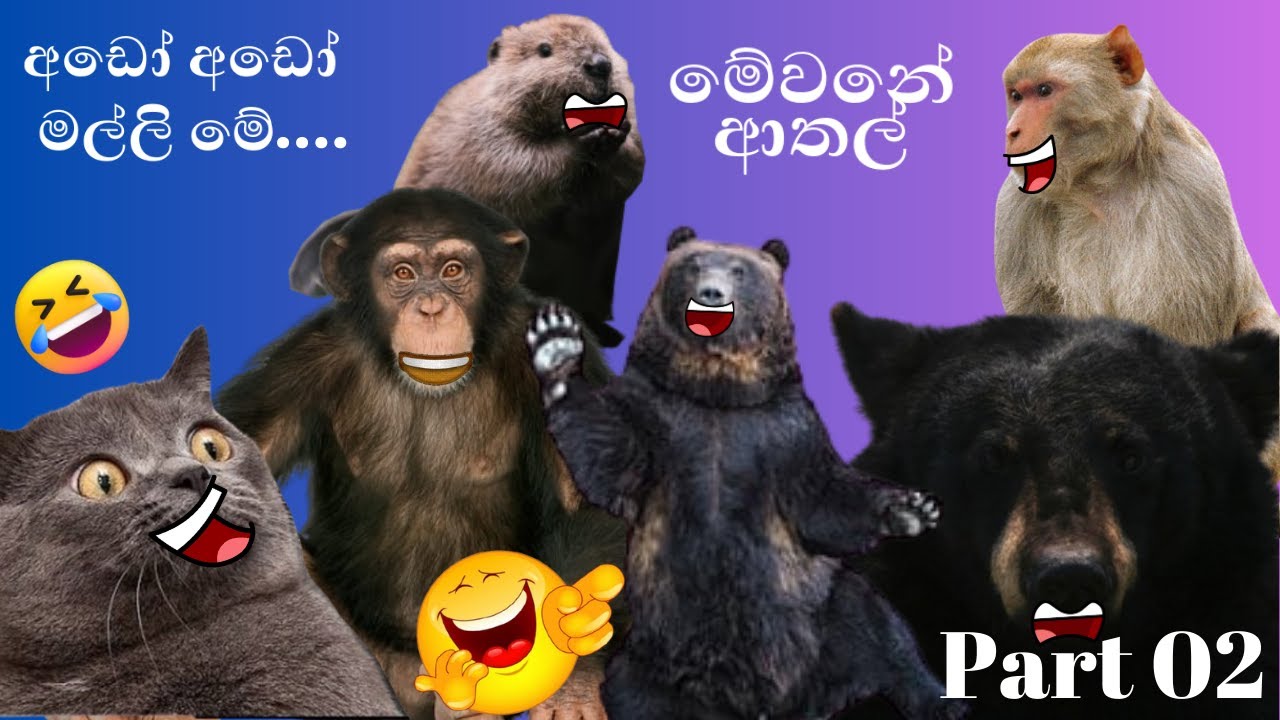 Animal Athal Katha | Sinhala Sattu Athal | Sinhala Meme Athal | Funny Meme Athal