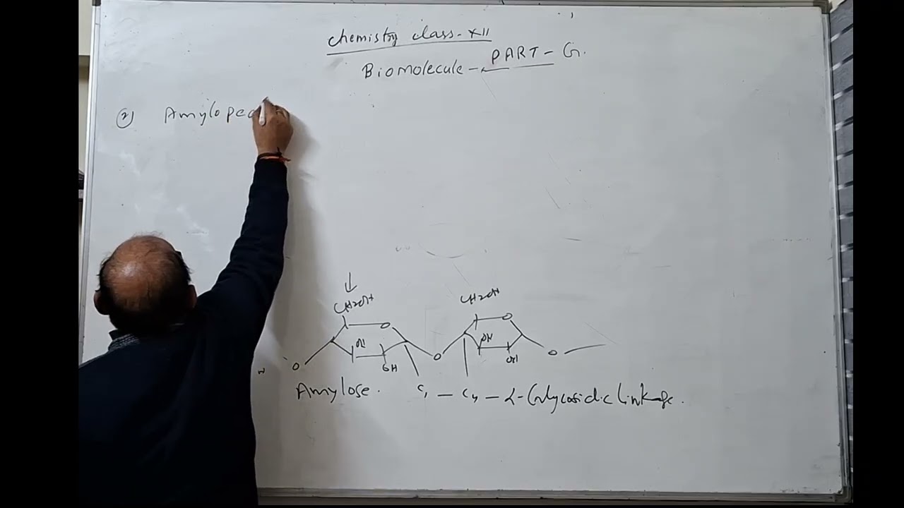 Polysaccharides, Starch, Amylose, Amylopectin, Cellulose, Biomolecules Part G , Chemistry Class 12th