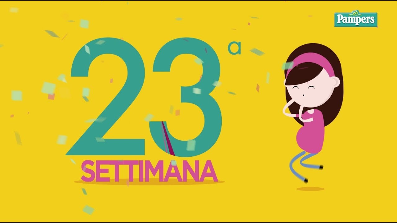 23&deg; settimana di gravidanza