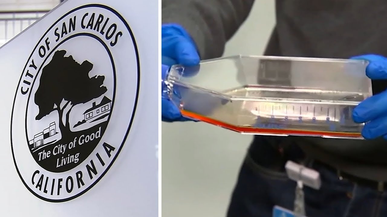 San Carlos votes to ban high-risk bio labs that study HIV, COVID-19, smallpox and other viruses