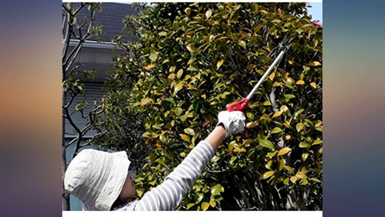 ARS Rose Pruner, 2-Foot review