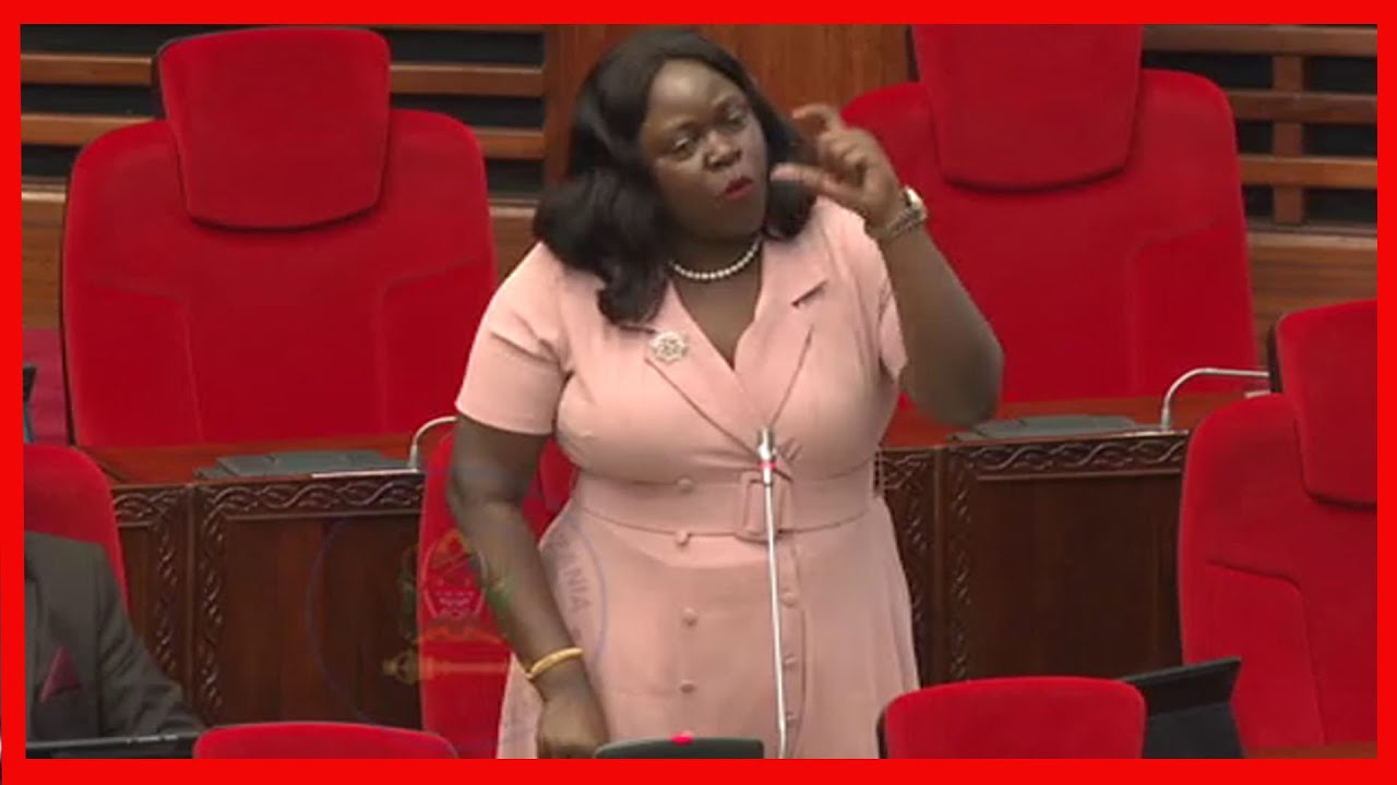 MBUNGE JUDITH KAPINGA APELEKA KILIO KIKUBWA BUNGENI