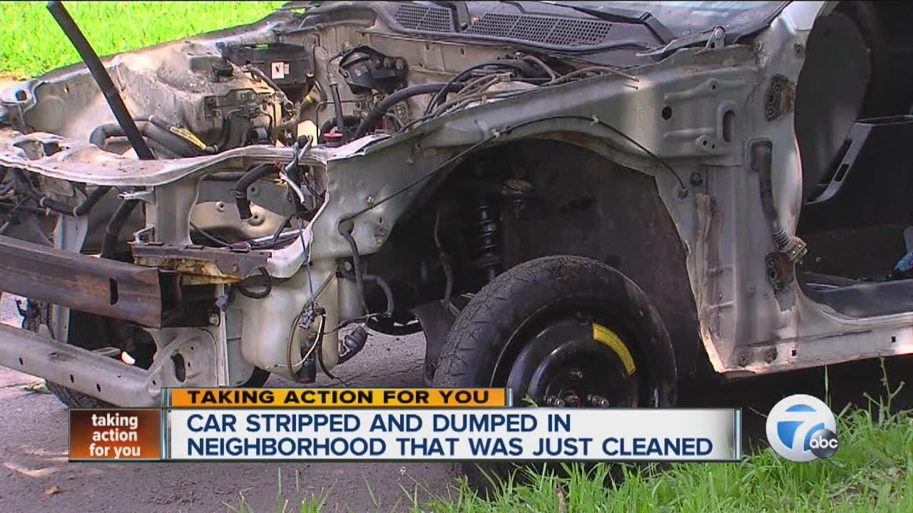 Car stripped and dumped in neighborhood that was just cleaned