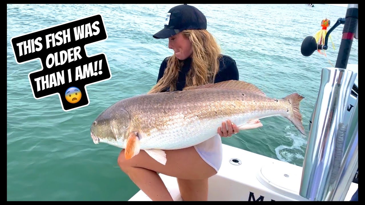 Fishing Chesapeake Bay for MASSIVE COBIA + DRUM!!