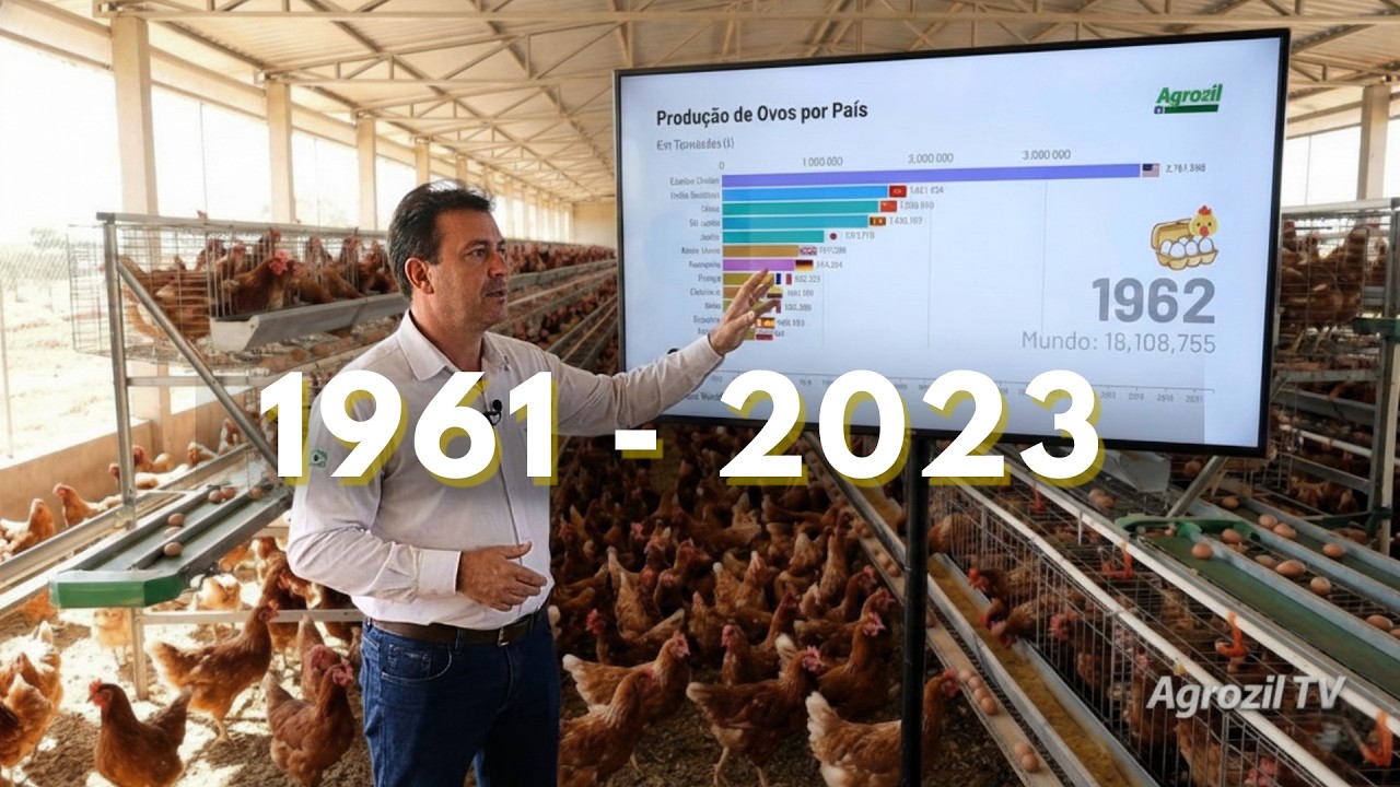 Maiores Produtores de Ovos do Mundo - de 1961 a 2023
