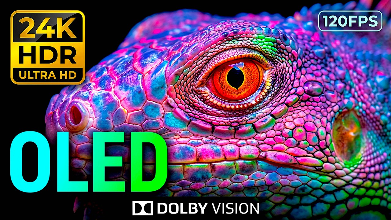 Hyper-Realistic Nature: 24K HDR 120FPS Wild Animal Dolby Vision OLED Test (8K/4K Video)