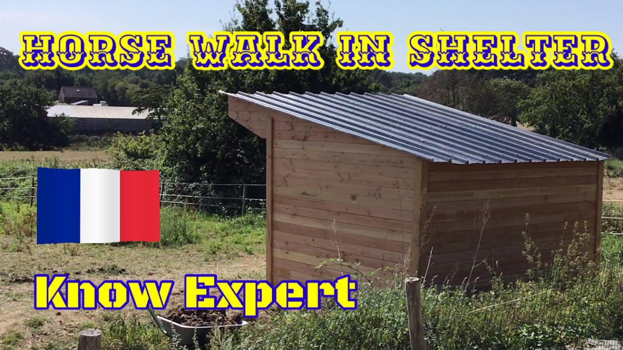 Horse Field shelter, DIY run in shed, field shed Abri pour chevaux. Lean barn for horse and donkey