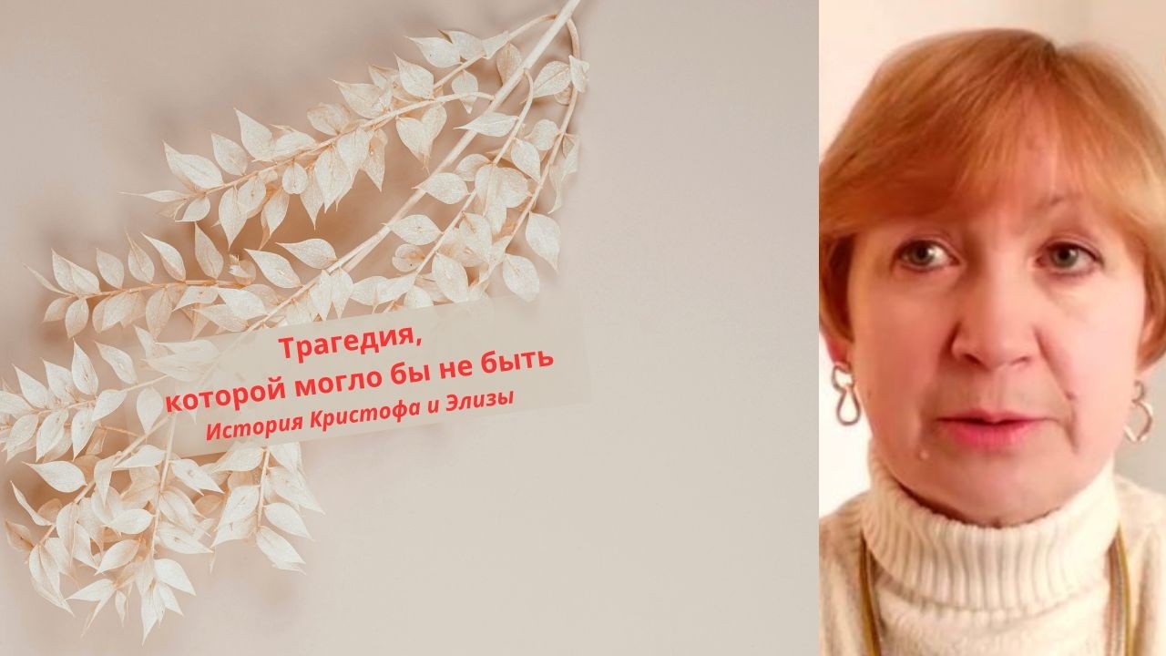 Франция. Подделал собачий паспорт и потерял семью. Трагедия, которой могло бы не быть.