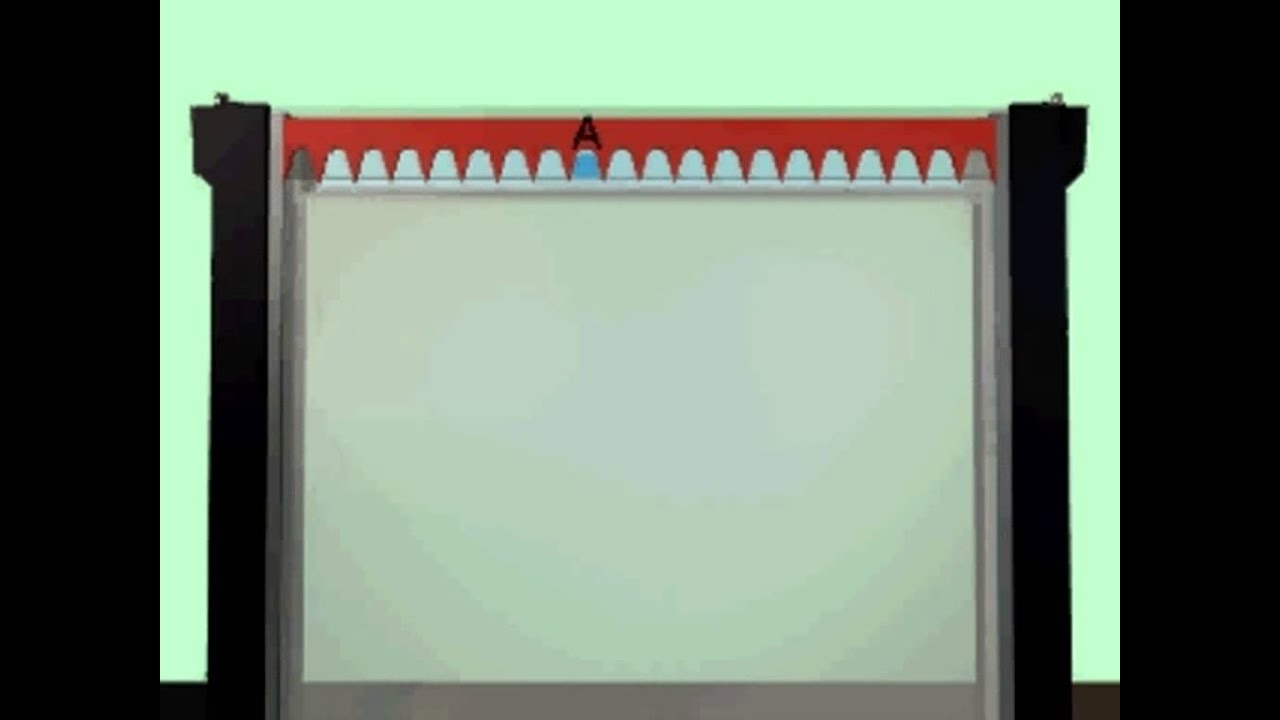 Sanger DNA sequencing animation