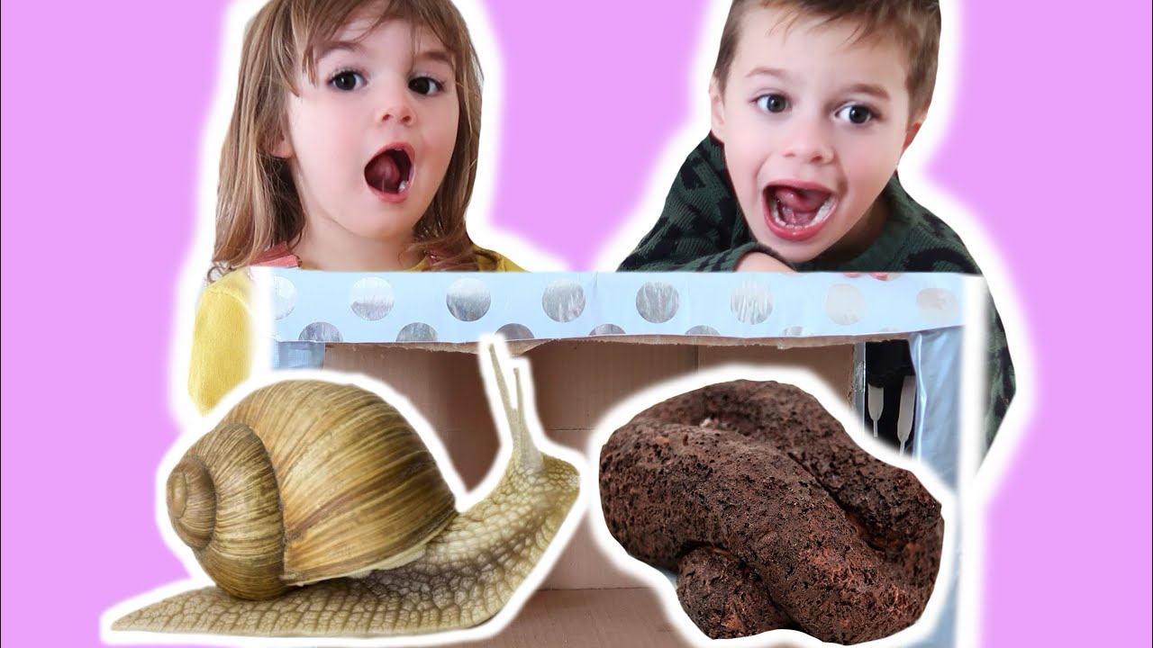 What’s in the box CHALLENGE  avec les enfants!