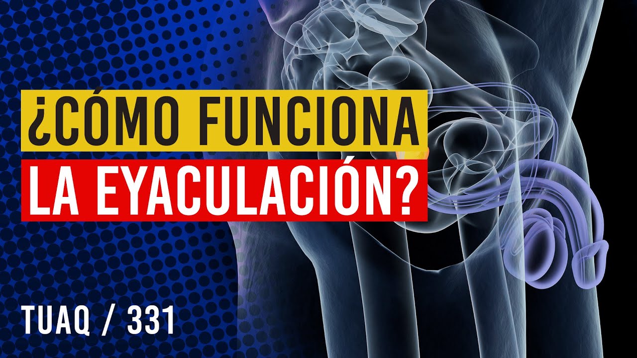 C&oacute;mo funciona la #EYACULACI&Oacute;N