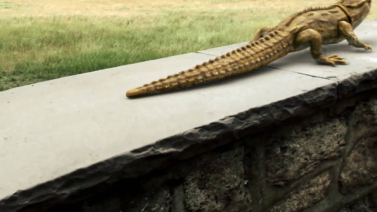 Tuatara in Germany (Cinema 4D & Syntheyes)
