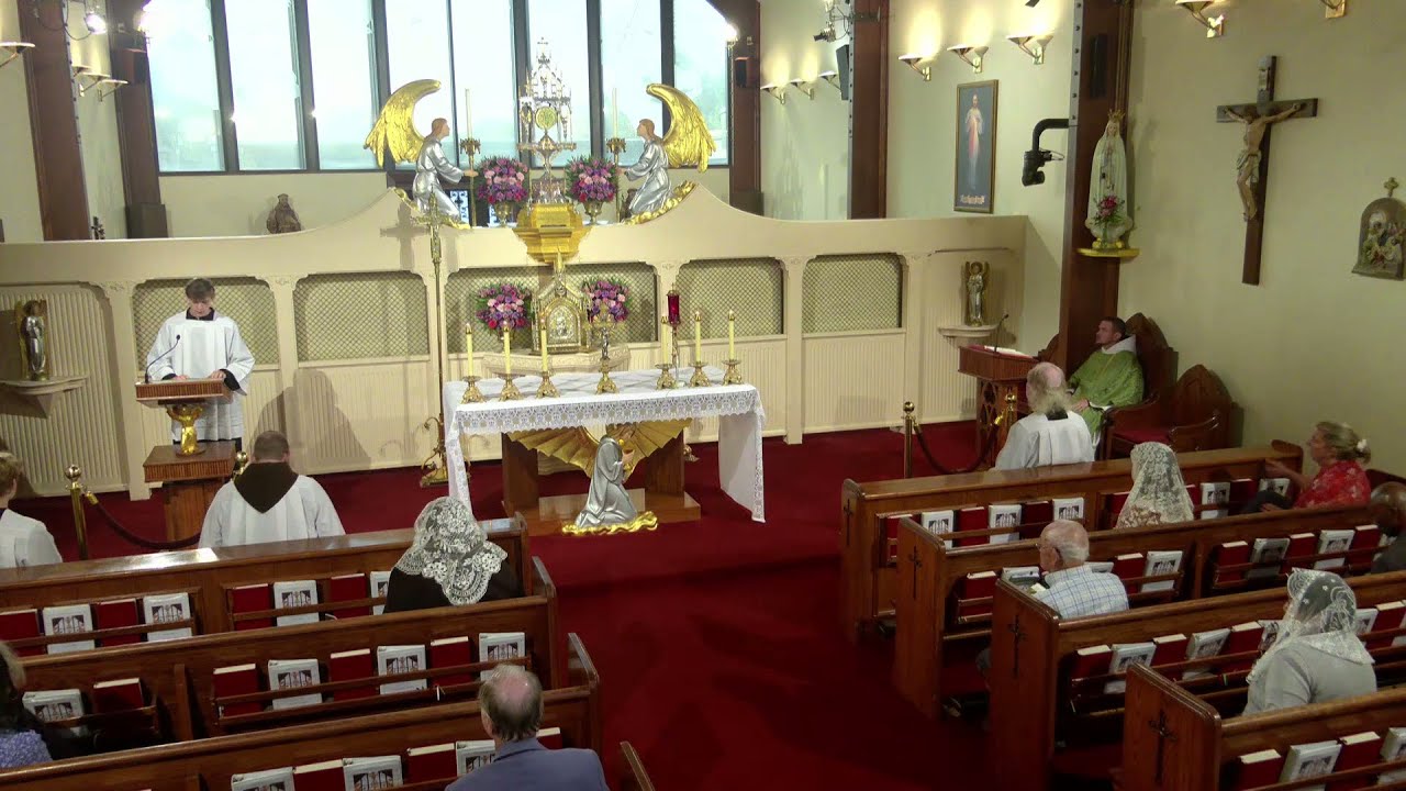 Daily Readings and Homily - 2025-08-19 - Fr. Patrick