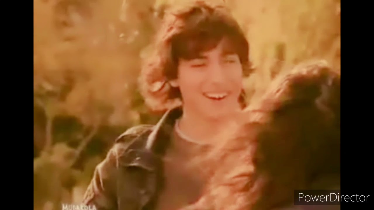 Luca y Tefi || Falta Amor