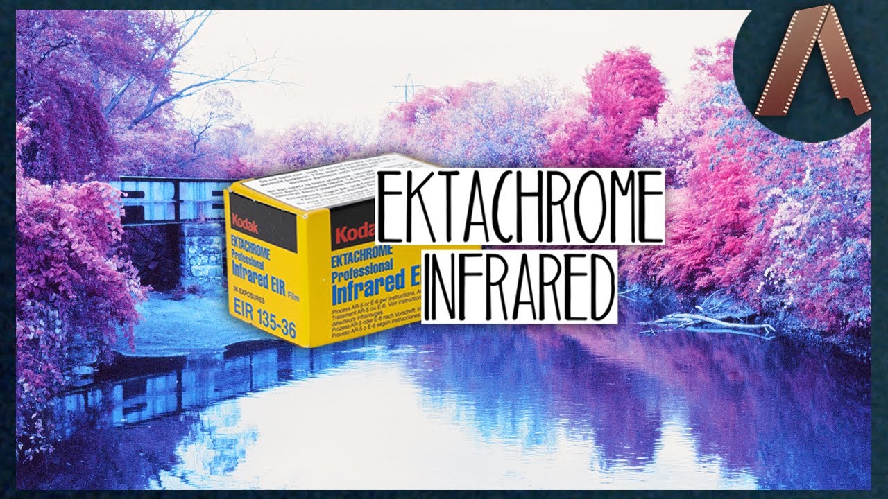 Capturing the Unseen with INFRARED Ektachrome Film