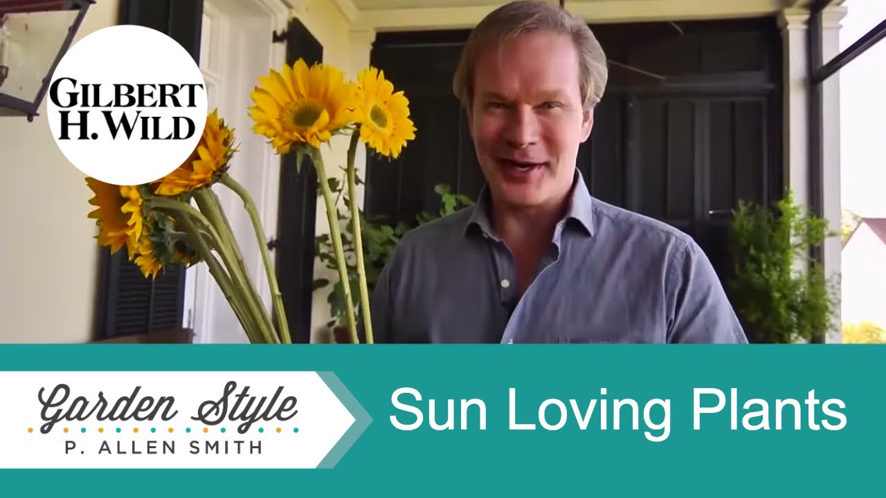 Plants & Recipes that Love Sunshine | Garden Style (1406)
