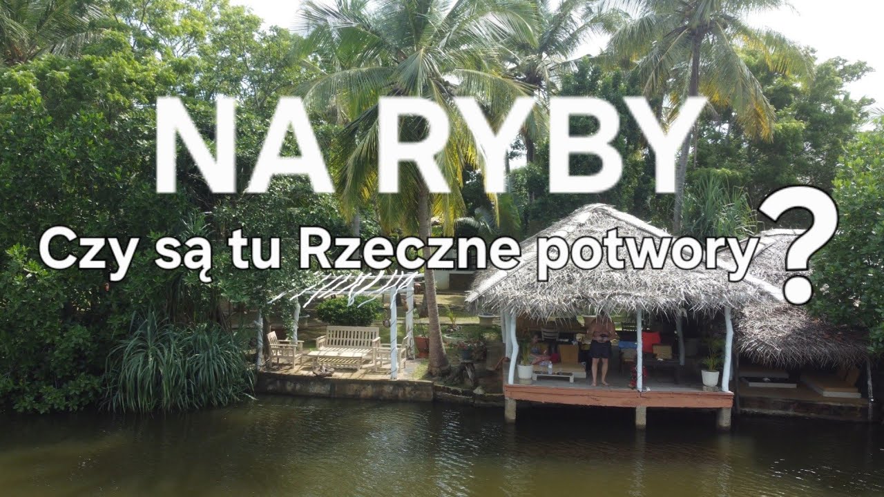 Piękne miejsce na wędkowanie 