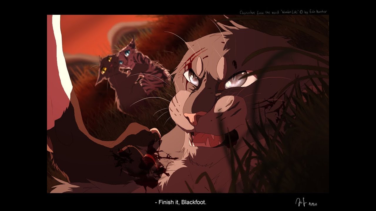 Warrior Cats Die 10 größten HELDEN die ihr Leben OPFERN mussten
