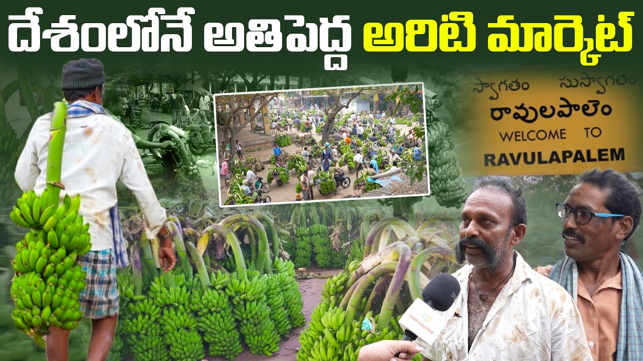 Banana cheapest rates @ Konaseema Ravulapalem Banana Market Yard | Banana for 10 paisa