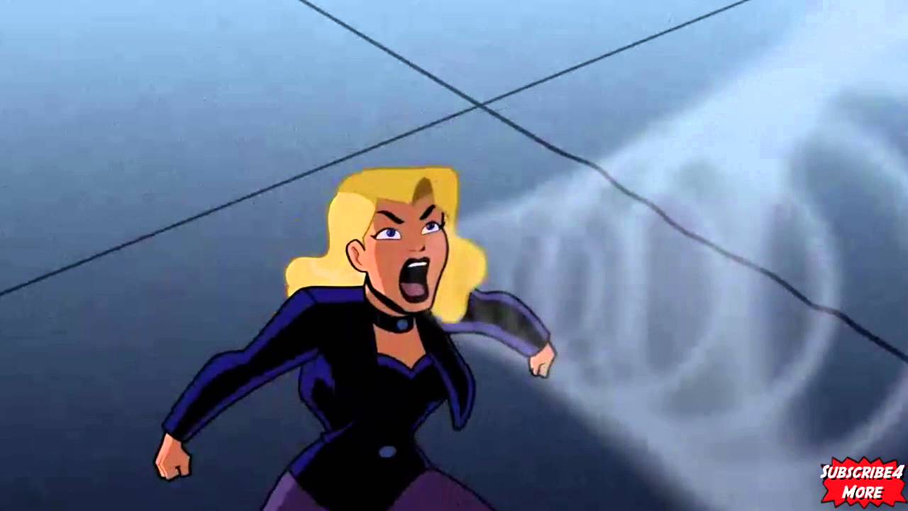 Batman/Black Canary Team Up (Batman The Brave And The Bold)