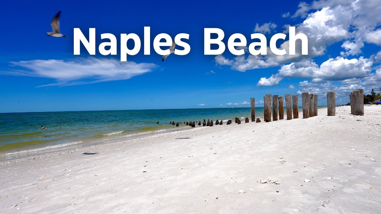 Naples Beach Today (8/25/24)